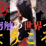 【再販】【期限付き数量限定】奇跡の被触Masterpieces -至女6人の消えない映像-